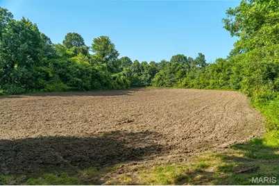 000 County Road 532, Williamsville, MO 63967 - Photo 6