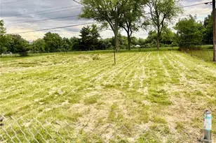 1020 Farmview Dr, Unincorporated, MO 63138 - Photo 4