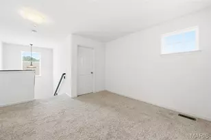 1512 Cannon Ridge Dr, Saint Louis, MO 63146 - Photo 54