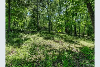 6482 S Lakeshore Drive, Hillsboro, MO 63050 - Photo 18