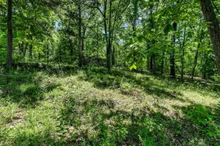 6482 S Lakeshore Dr, Hillsboro, MO 63050 - Photo 18