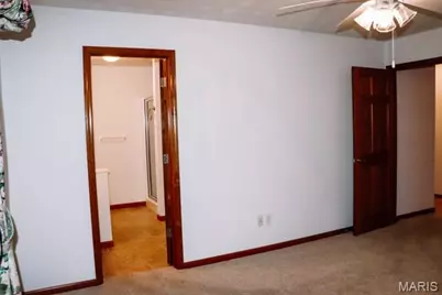 802 Donaldson Street, De Soto, MO 63020 - Photo 20