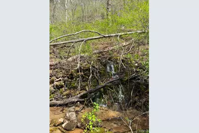 000 Madison County 445, Annapolis, MO 63620 - Photo 2