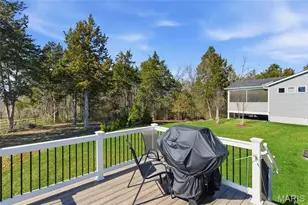 2 Spinney Bough Ct, Wentzville, MO 63385 - Photo 38