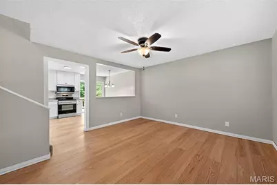 16 Ivy Lane, Festus, MO 63028 - Photo 4