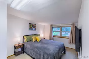 4123 Blow St, Saint Louis, MO 63116 - Photo 22