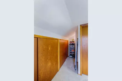 4123 Blow Street, Saint Louis, MO 63116 - Photo 24