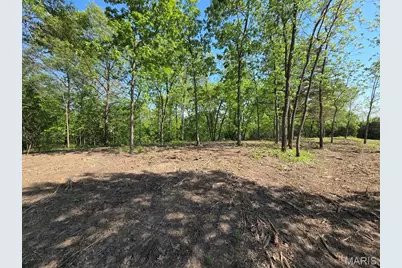 0 Olive Avenue, Maplewood, MO 63454 - Photo 20