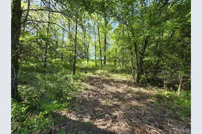 0 Olive Avenue, Maplewood, MO 63454 - Photo 28