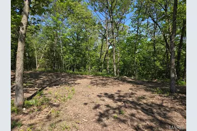 0 Olive Avenue, Maplewood, MO 63454 - Photo 22