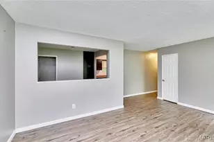 10132 Cavalier Ct, Saint Louis, MO 63136 - Photo 10