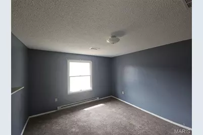 8799 Highway J, Black Jack, MO 63625 - Photo 12