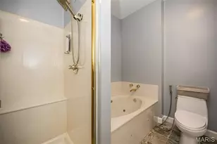 13101 Mill Crossing Ct, Creve Coeur, MO 63141 - Photo 24