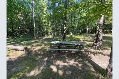739 County Road 6250, Salem, MO 65560 - Photo 8