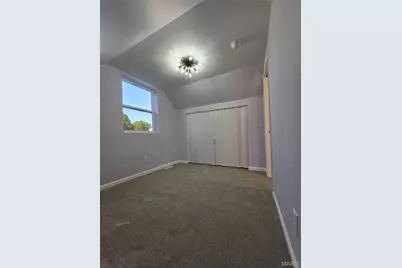 419 Little Broadway Street, Mehlville, MO 63125 - Photo 64