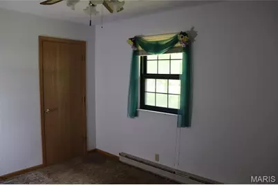 4219 Old State Road, De Soto, MO 63020 - Photo 8