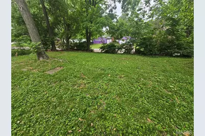 9801 Lorna Lane, Saint Louis, MO 63136 - Photo 18
