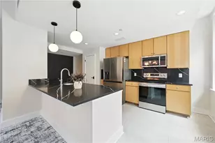 314 N Broadway, Saint Louis, MO 63102 - Photo 8