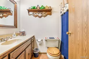1751 Rue Andre, Bonne Terre, MO 63628 - Photo 48