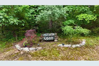 00 Autumn Wood Road, De Soto, MO 63020 - Photo 2