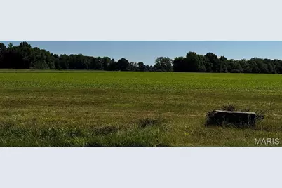 2221 County Road 608, Poplar Bluff, MO 63901 - Photo 2