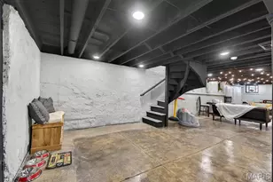 3441 Crittenden St, Saint Louis, MO 63118 - Photo 48