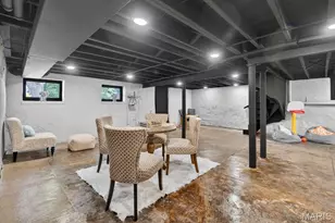 3441 Crittenden St, Saint Louis, MO 63118 - Photo 50