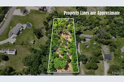 001 Hencher Road, De Soto, MO 63020 - Photo 2