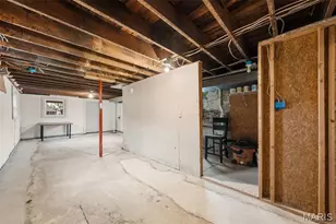 5226 Elizabeth Ave, Saint Louis, MO 63110 - Photo 42