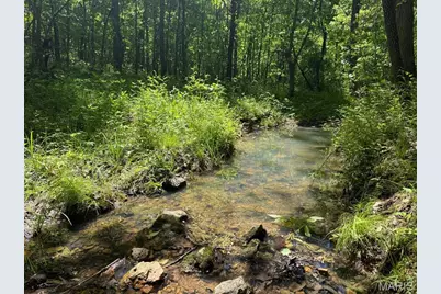 0 Highway Nn (Tract 1 - 8.44+/- Acres), Bowling Green, MO 63334 - Photo 16