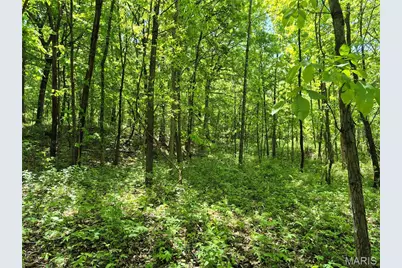 0 Highway Nn (Tract 1 - 8.44+/- Acres), Bowling Green, MO 63334 - Photo 14