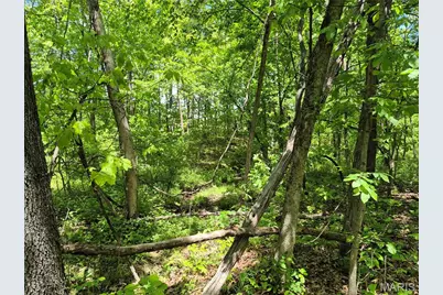 0 Highway Nn (Tract 2 - 9.08+/- Acres), Bowling Green, MO 63334 - Photo 12