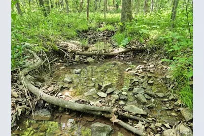 0 Highway Nn (Tract 2 - 9.08+/- Acres), Bowling Green, MO 63334 - Photo 14