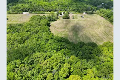 0 Highway Nn (Tract 2 - 9.08+/- Acres), Bowling Green, MO 63334 - Photo 32