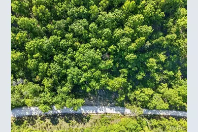 955 County Rd 900, Bunker, MO 63629 - Photo 64