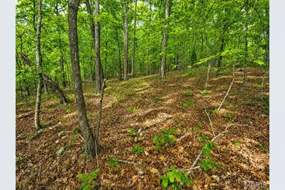 955 County Rd 900, Bunker, MO 63629 - Photo 46
