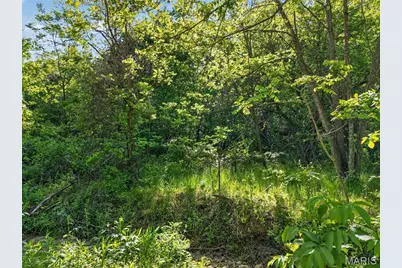 955 County Rd 900, Bunker, MO 63629 - Photo 58
