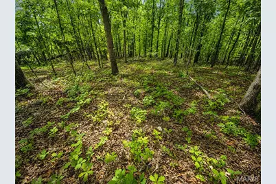 955 County Rd 900, Bunker, MO 63629 - Photo 44
