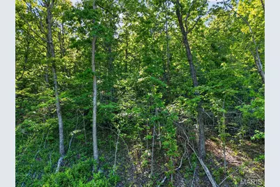 955 County Rd 900, Bunker, MO 63629 - Photo 68