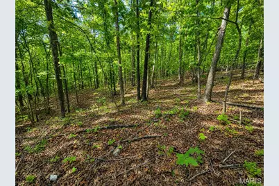 955 County Rd 900, Bunker, MO 63629 - Photo 40