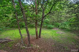 24 Rhett Butler Dr, Hillsboro, MO 63050 - Photo 78