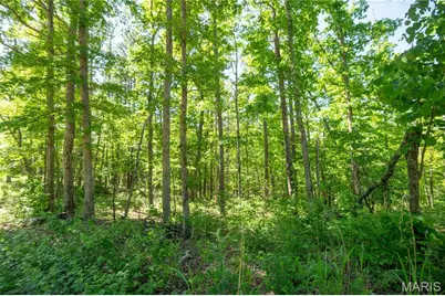 [Address not provided], Van Buren, MO 63965 - Photo 44