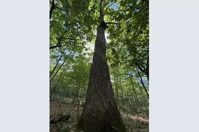 Tract 5 County Rd 4215, Salem, MO 65560 - Photo 2