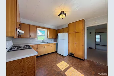 321 Lake Street, De Soto, MO 63020 - Photo 22