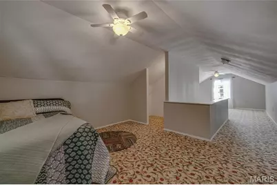 203 Boyce Street, Farmington, MO 63640 - Photo 28