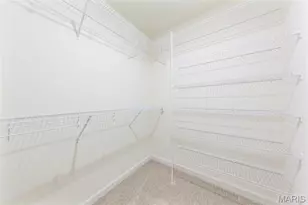 5634 Sun Bear Dr, House Springs, MO 63051 - Photo 26