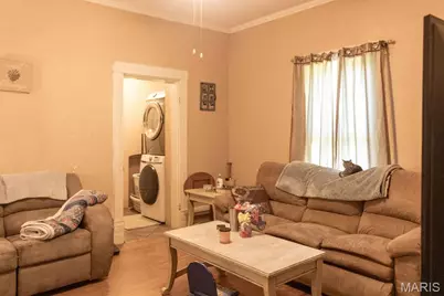 604 Hoffman Street, Leadwood, MO 63653 - Photo 22