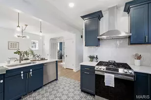 4125 Miami St, Saint Louis, MO 63116 - Photo 22