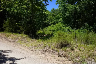 0 Blocks Branch Road, Robertsville, MO 65066 - Photo 2