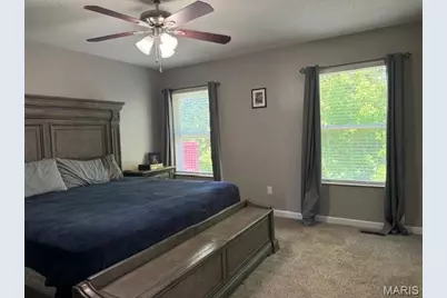 728 Santschi Drive, Herculaneum, MO 63048 - Photo 22